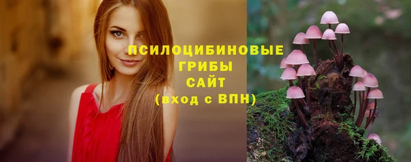 крисы Касимов