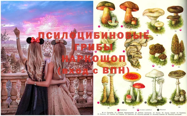 MDMA Premium VHQ Карталы